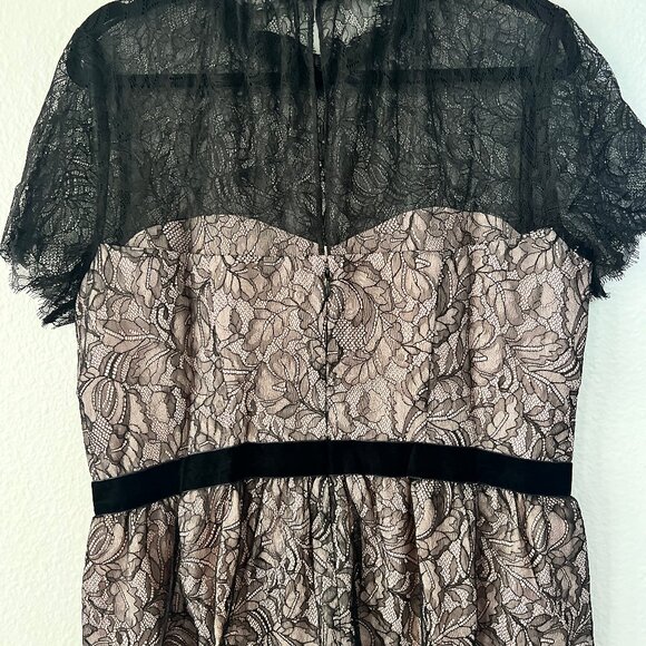 White House Black Market Contrast Lace Bodice Blouse – Size 14 – NWT - Picture 11 of 16
